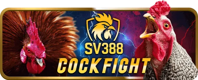 Lịch thi đấu đá gà k888 win và mẹo cược
